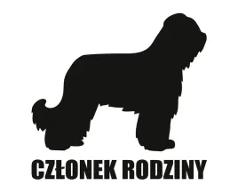 naklejka-czlonek-rodziny-or-briard-owczarek-francuski