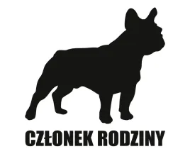 naklejka-czlonek-rodziny-or-buldog-francuski