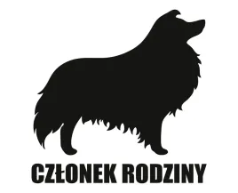 naklejka-czlonek-rodziny-or-collie
