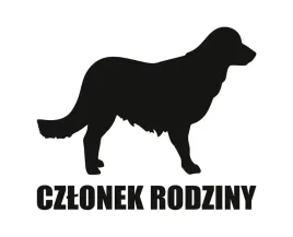 naklejka-czlonek-rodziny-or-golden-retriever
