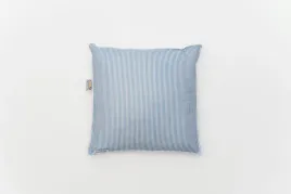 poduszka-puchowa-white-and-blue-40x40-cm