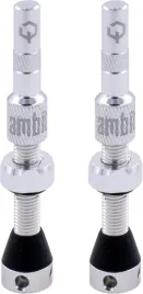 ambit-valve-stem-realm-silver