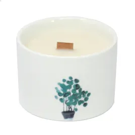 cytryna-i-wiciokrzew-swieca-botaniczna-pelna-swiatla-i-swiezosci-180g-1szt