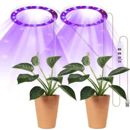 lampa-led-plant-heckermann-pierscien-tsh-g1-2-2-glowice-fioletowy