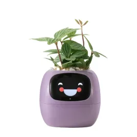 doniczka-ivy-planter-inteligentna-oslonka-smart-donica-porady-ogrodnicze
