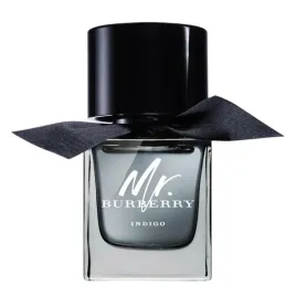 burberry-mr-indigo-eau-de-toilette-unikat-100-ml