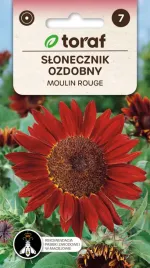 slonecznik-ozdobny-moulin-rouge-nasiona-2g-toraf