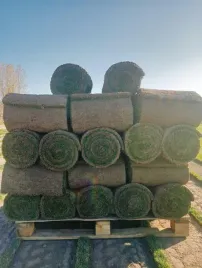 paleta-40-m2-trawa-w-rolkach-trawnik-z-rolki-trawa-rolowana-zywa