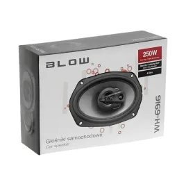 2x-mocne-glosniki-samochodowe-250w-6x9-4ohm-owalne-elipsy-trojdrozne