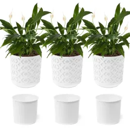 3x-doniczka-donica-kwietnik-misa-oslonka-wklad-balkon-taras-255-x-27cm