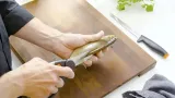 nozyce-do-ryb-fiskars-functional-form-1003032-kod-producenta-1003032