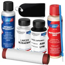 lakier-zaprawkowy-zestaw-na-rdze-zaprawka-audi-ly9b-brilliant-black