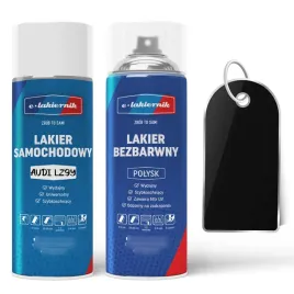 lakier-samochodowy-w-sprayu-bezbarwny-polysk-audi-lz9y-phantomschwarz