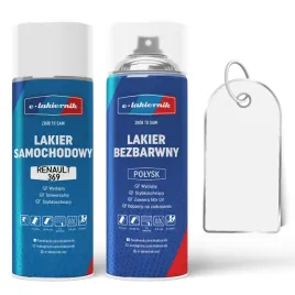 lakier-samochodowy-w-sprayu-bezbarwny-polysk-renault-dv369-blanc-glacier