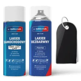 lakier-samochodowy-w-sprayu-bezbarwny-polysk-opel-z22c-22c-gar-carbon-flash