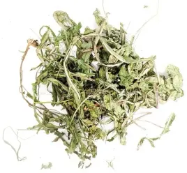 wio-mar-mniszek-lekarski-150g