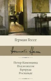 peter-kamencind-pod-kolesom-gertruda-roshalde-gesse-german-9785171521