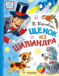 shenok-iz-cilindra-kozlovskaya-natalya-viktorovna-9785171484255