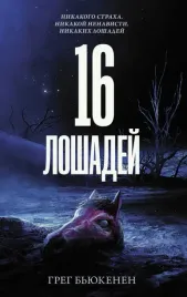 16-loshadej