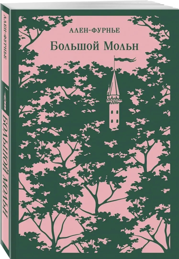 bolshoj-moln-alen-furne-anri-9785041997472-stan-nowy