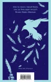 nevermore-po-edgar-allan-9785041818272-tytul-nevermore