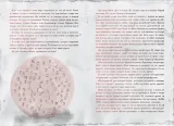 zlaya-kniga-3-magnus-mist-9785041116507-autor-magnus-mist
