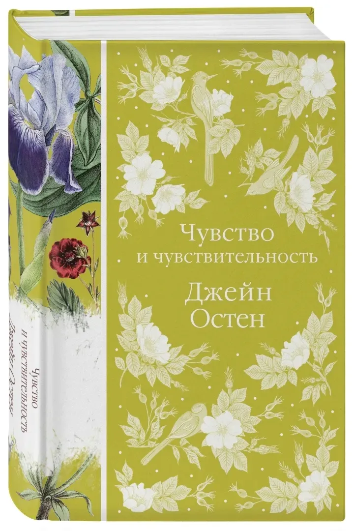 chuvstvo-i-chuvstvitelnost-osten-dzhejn-9785041732608-stan-nowy