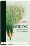papirus-irene-valeho-9785001316763-stan-nowy