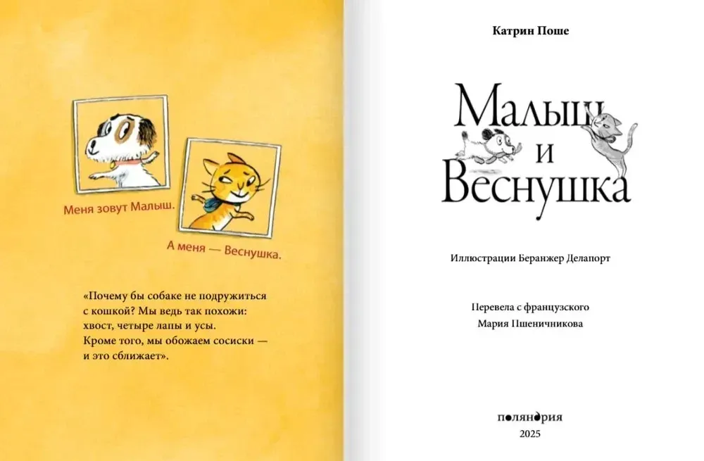 malysh-i-vesnushka-katrin-poshe-9785605370529-stan-nowy