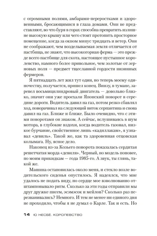 korolevstvo-nesbyo-yu-9785389179325-stan-nowy