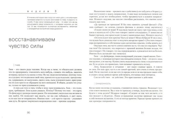 put-hudozhnika-kemeron-dzhuliya-9785604008287-stan-nowy