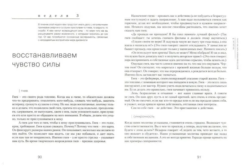 put-hudozhnika-kemeron-dzhuliya-9785604008287-stan-nowy