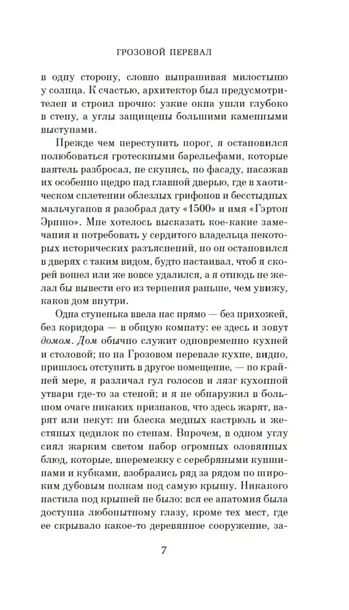 grozovoj-pereval-emili-bronte-9785389318670-okladka-inna