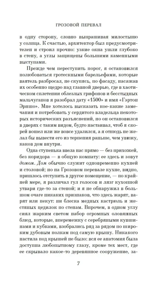 grozovoj-pereval-emili-bronte-9785389318670-stan-nowy
