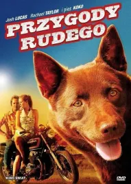 przygody-rudego-dvd-kriv-stenders