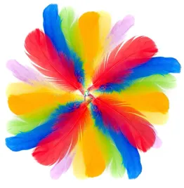piorka-dekoracyjne-piora-scrapbooking-rekodzielo-ozdobne-kolorowe-50-szt