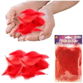 piorka-dekoracyjne-piora-zestaw-scrapbooking-diy-rekodzielo-czerwone-50-szt