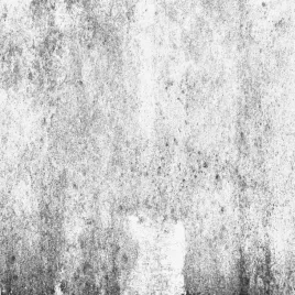 tlo-fotograficzne-scianka-200x200-cm-sc9-rozbiegowka