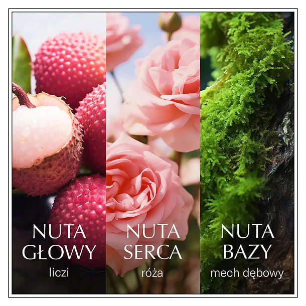 coty-chanson-d-eau-rose-edt-100ml-stan-nowy-marka-chanson-d-eau