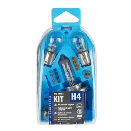 zestaw-naprawczy-komplet-zarowek-h4-12v-zasobnik
