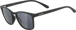 alpina-okulary-przeciwsloneczne-sportowe-uniseks