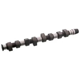 febi-bilstein-10009-walek-rozrzadu