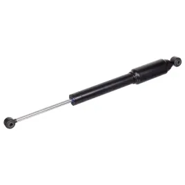 febi-bilstein-100866-amortyzator