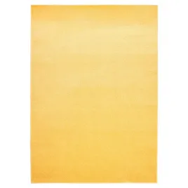 dywan-mono-300x400-gladki-jednokolorowy-modny-v10