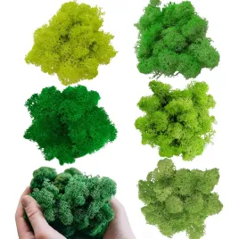 mech-dekoracyjny-trwaly-naturalny-w-pieciu-kolorach-do-wnetrz
