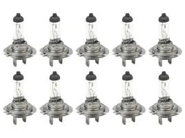 zarowka-h7-12v-55w-px26d-teger-sprzedawane-po-10-szt