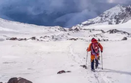 kijki-do-nordic-walking-kije-do-chodzenia-po-grorach-regulowane-trekkingowe