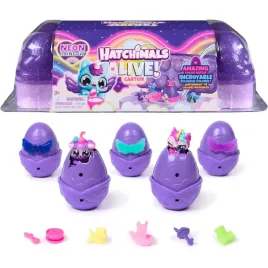 hatchimals-alive-neon-rainbow-5-figurek-w-jajkach-i-11-akcesoriow