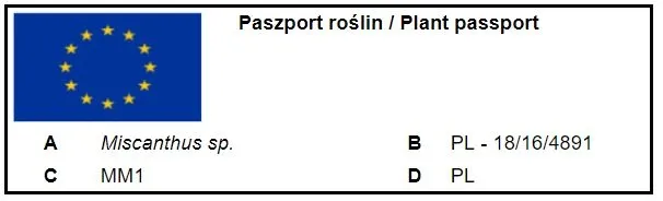 miskant-chinski-malepartus-c3-styl-ogrod-japonski-ogrod-nowoczesny-ogrod-srodziemnomorski-ogrod-wiejski-roslina-w-postaci-sadzonka-w-pojemniku-3-5l