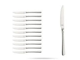 noz-stolowy-gastronomiczny-12-szt-stal-18-0-215-cm-astoria-amefa